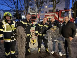 Papagei mittels Feuerwehrdrehleiter in Villach gerettet